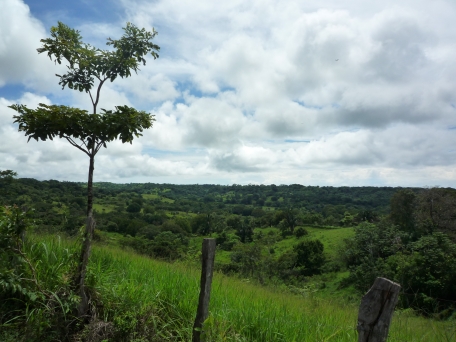 Hilly landscape of Green