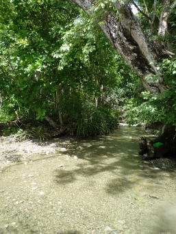 Small fresh water river...